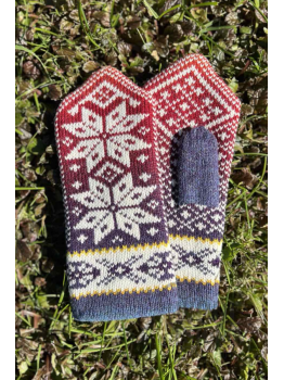 Mittens with a star