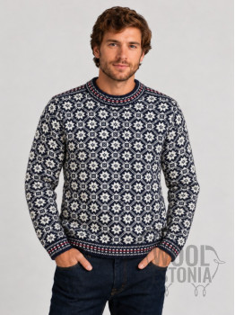 Men's  jumper with a deer, Red and Blue